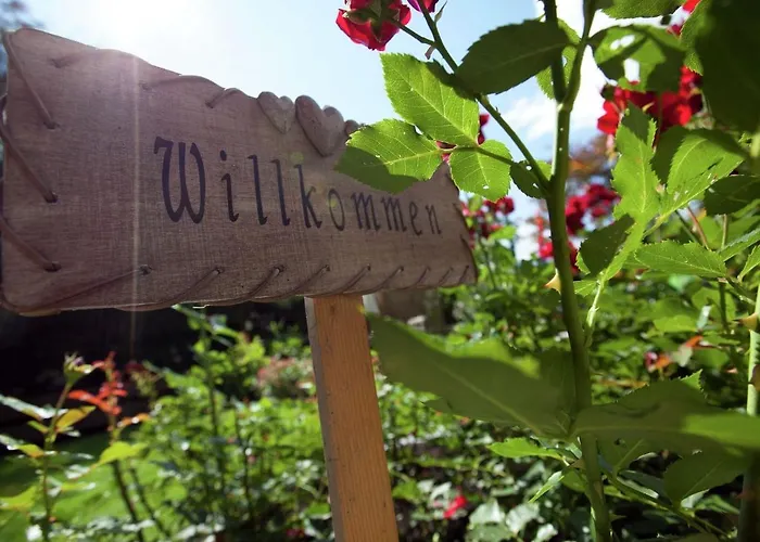 In Bramberg Near Wildkogel Arena * Bramberg am Wildkogel