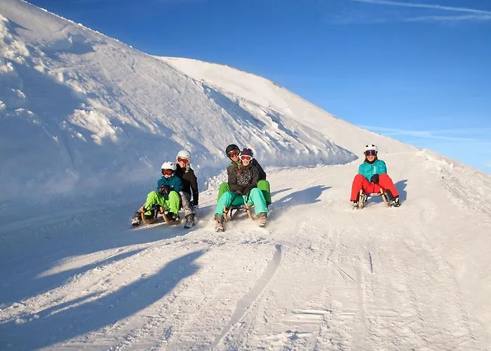 In Bramberg Near Wildkogel Arena *